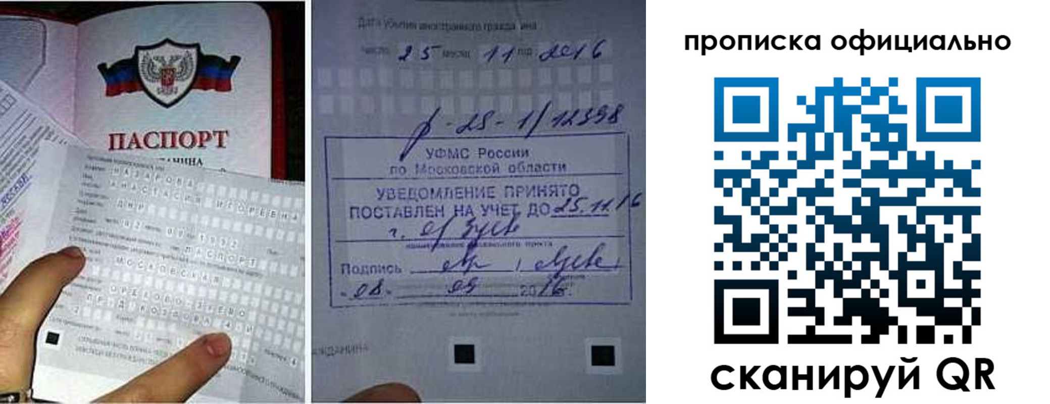 прописка паспорт в Кораблино